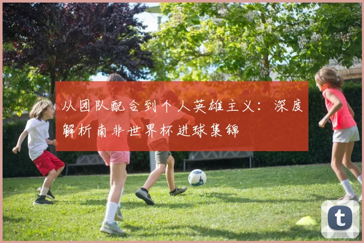 从团队配合到个人英雄主义：深度解析南非世界杯进球集锦