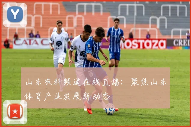 山东农科频道在线直播：聚焦山东体育产业发展新动态
