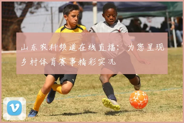 山东农科频道在线直播：为您呈现乡村体育赛事精彩实况