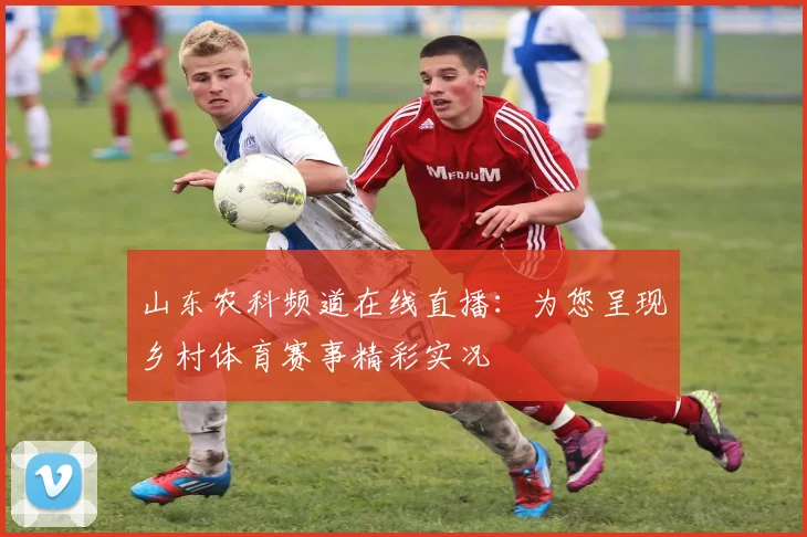 山东农科频道在线直播：为您呈现乡村体育赛事精彩实况